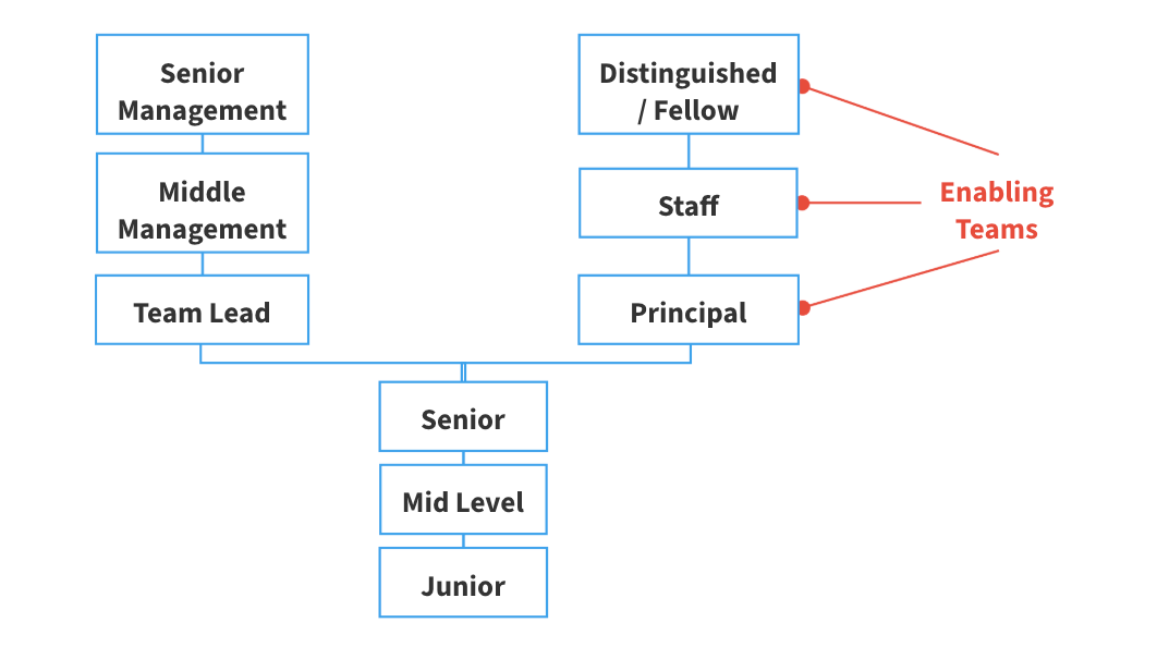 A career ladder diagram illustrating two possible career paths after reaching the senior level. Common Early Career Path (Bottom to Senior Level) Junior → Mid Level → Senior (all employees start here) Two Career Paths After Senior Level: Management Path (Left Side) Team Lead → Middle Management → Senior Management Technical Expert Path (Right Side) Principal → Staff → Distinguished / Fellow. It highlights that the technical expert path is the one that contributes to Enabling Teams.